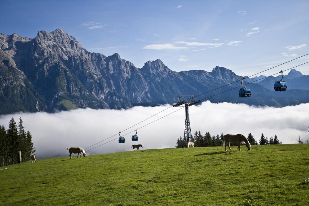 Appartement Haus Pichler Leogang Extérieur photo